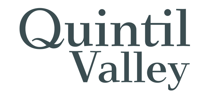 Logo de Quintil Valley